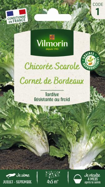 Potagères - Chicorée Scarole Cornet de Bordeaux - PACKAGING_RECTO
